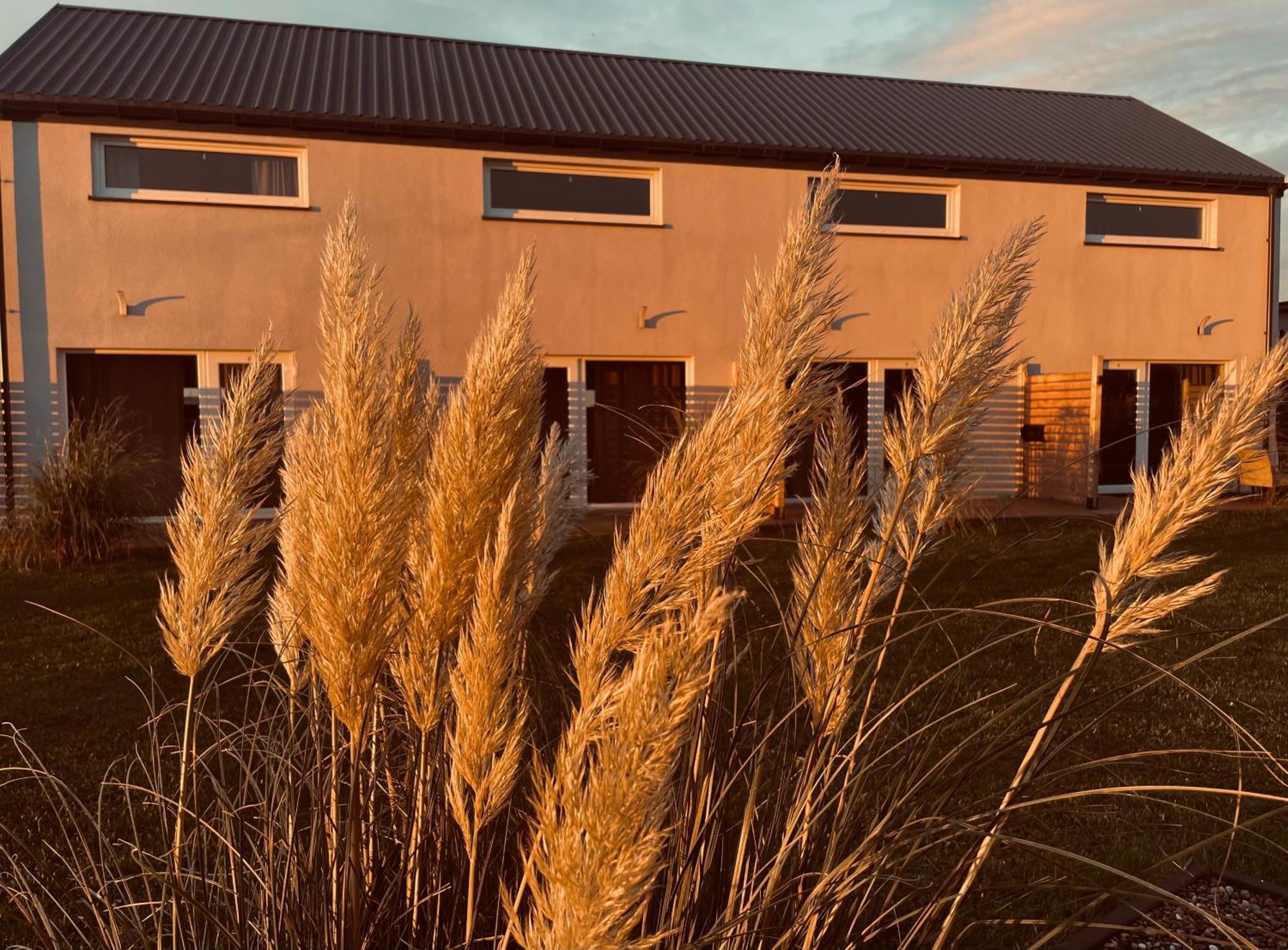 Baltico Domki Letniskowe Sarbinowo Exteriér fotografie